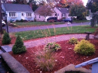 Landscaped planter in a residential front yard